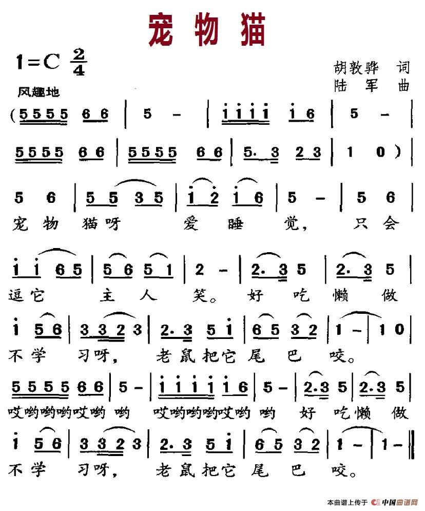 宠物猫(1)9.宠物猫.jpg