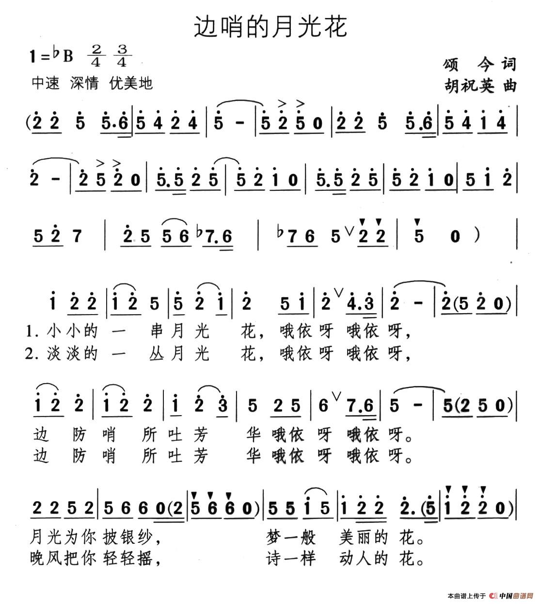 边哨的月光花(1)13、边哨的月光花1.jpg