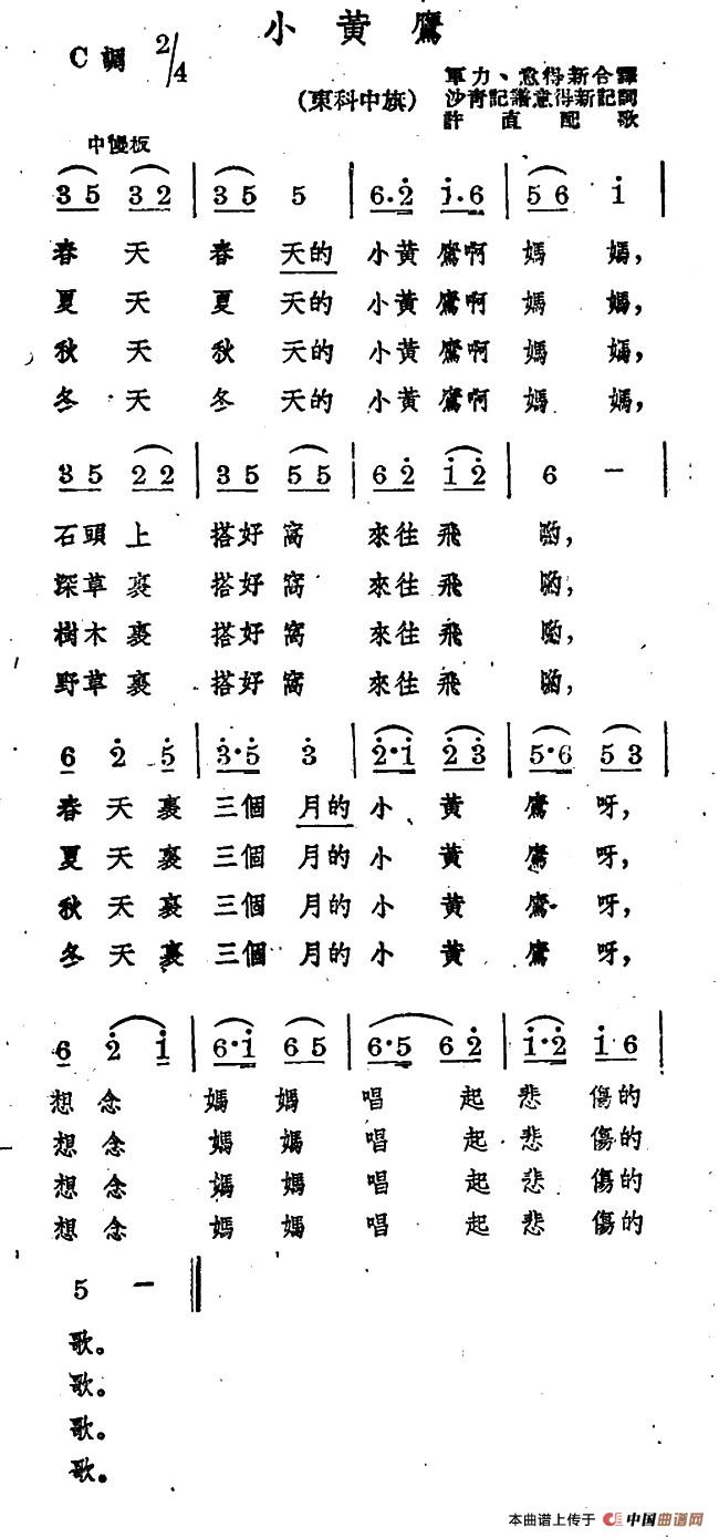 小黄鹰(1)00.jpg