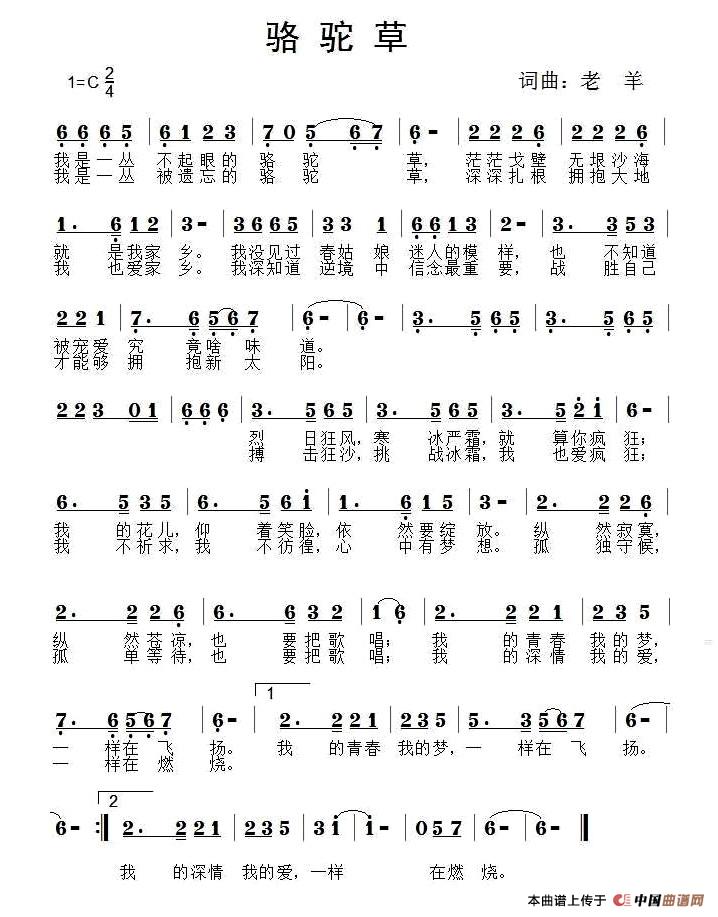 骆驼草（老羊 词曲）(1)1.jpg