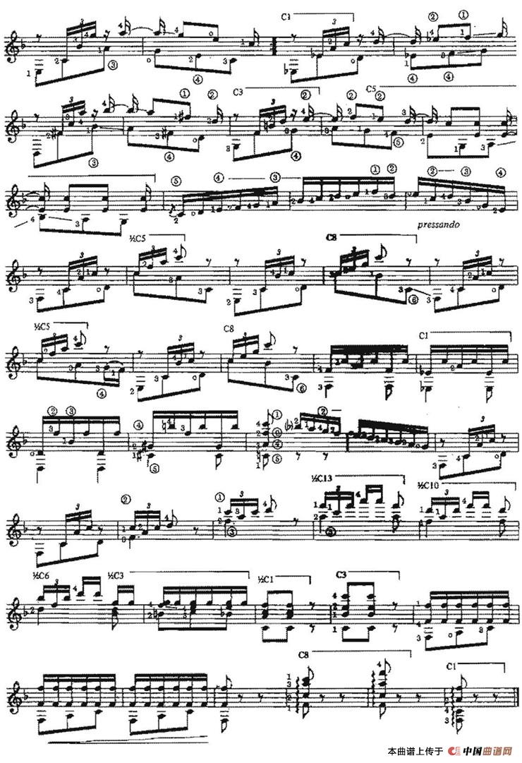 Pericon（古典吉他）：043-.jpg