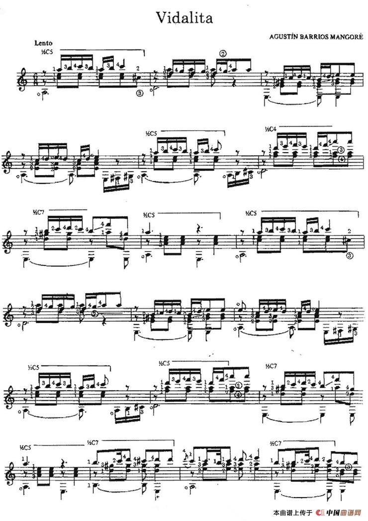 Vidalita（古典吉他）：011=.jpg