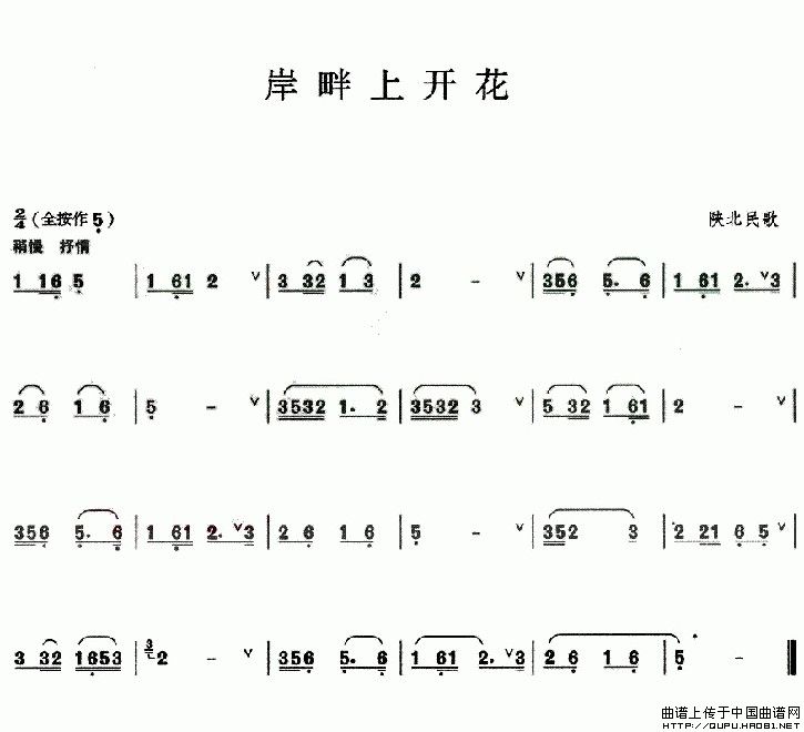 岸畔上开花：岸畔上开花1.jpg
