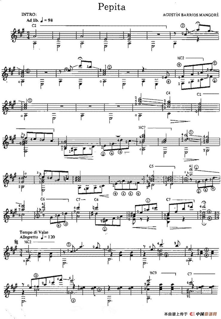 Pepita（古典吉他）：017=.jpg