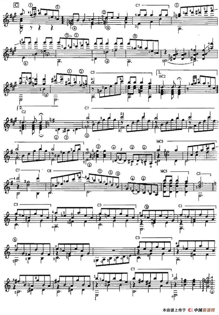Pepita（古典吉他）：019.jpg