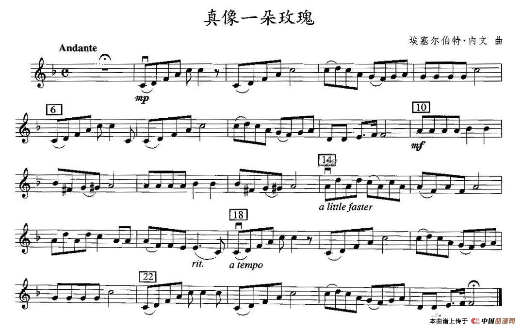 真像一朵玫瑰(1)11.jpg