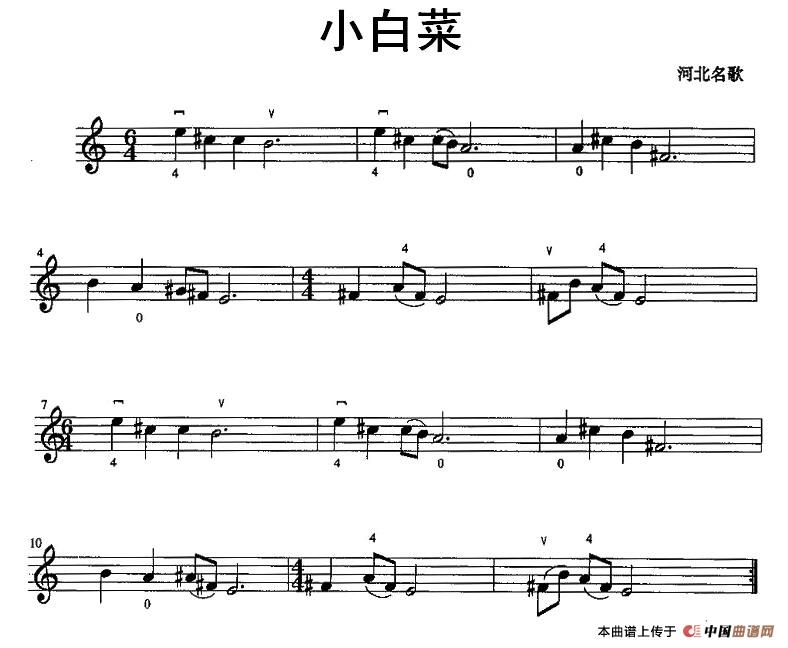 小白菜(1)11.jpg
