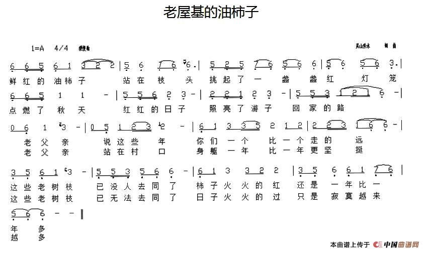 老屋基的油柿子(1)001.jpg