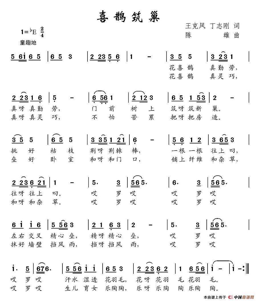 喜鹊筑巢(1)图片 (6).jpg