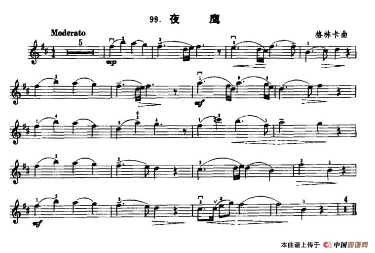 夜鹰(1)1.jpg