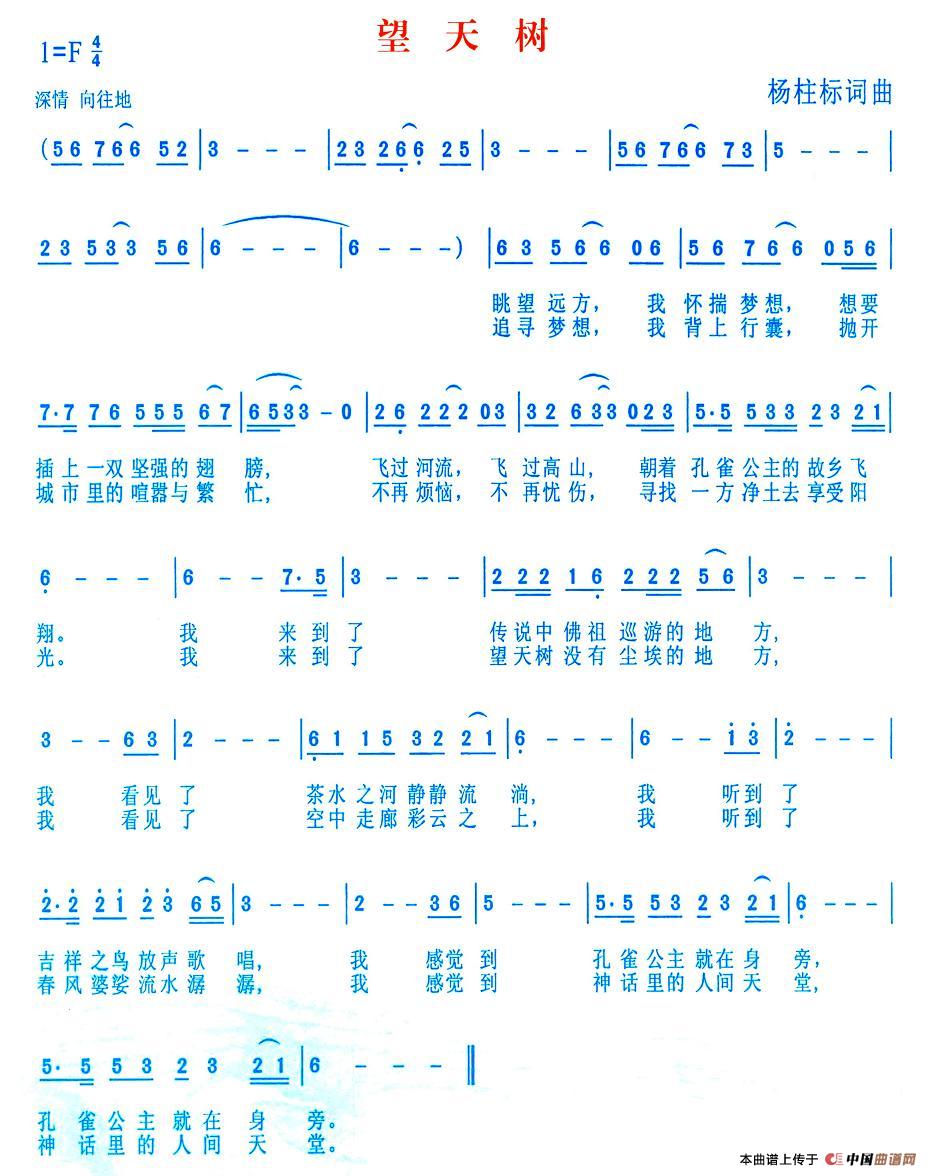 望天树(1)图片 (1).jpg