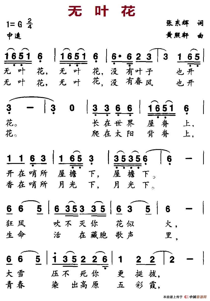 无叶花(1)8-1无叶花.jpg