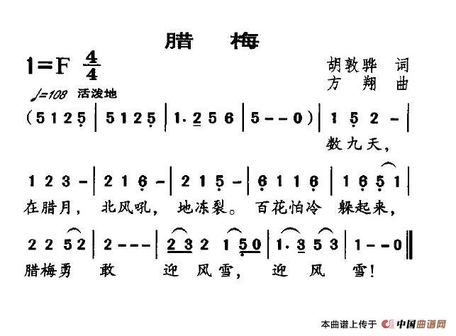 腊梅(1)3.jpg