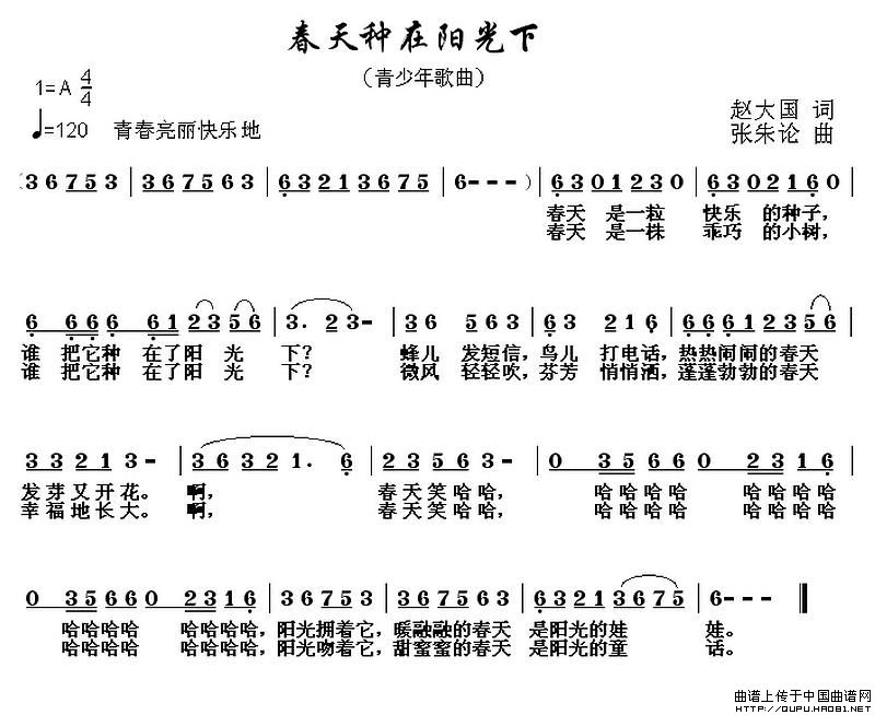春天种在阳光下(1)春天种在阳光下1.jpg