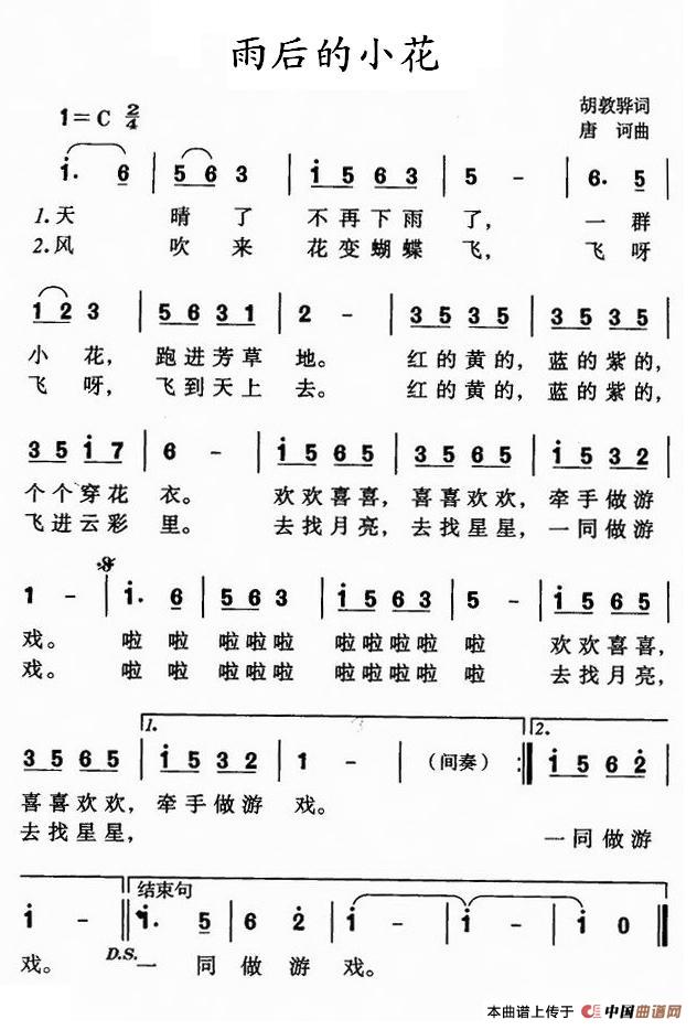 雨后的小花(1)111.jpg