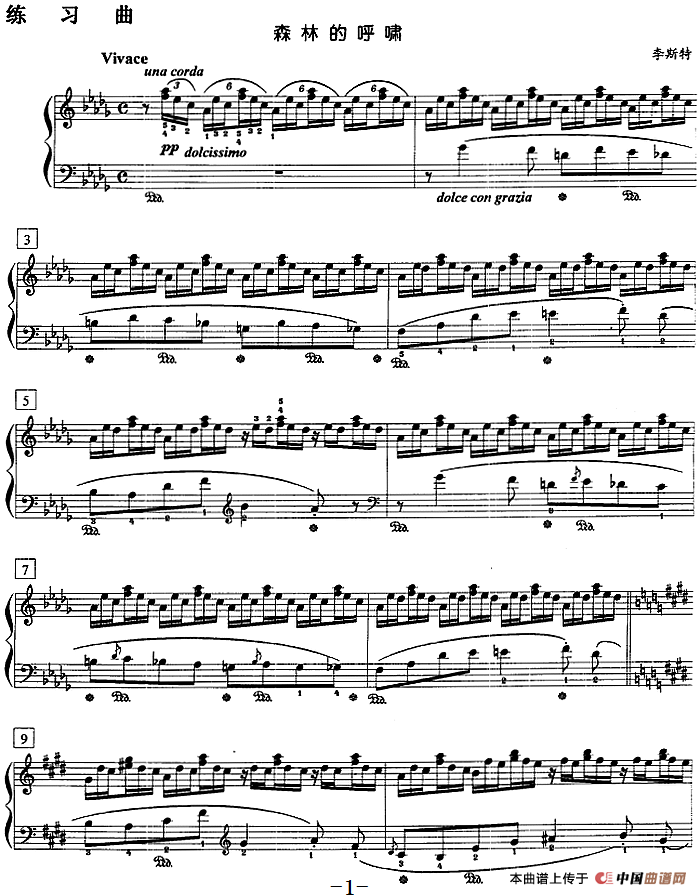 钢琴教程第八级 练习曲（森林的呼啸）(1)钢琴教程第八级 练习曲（森林的呼啸）李斯特曲.png