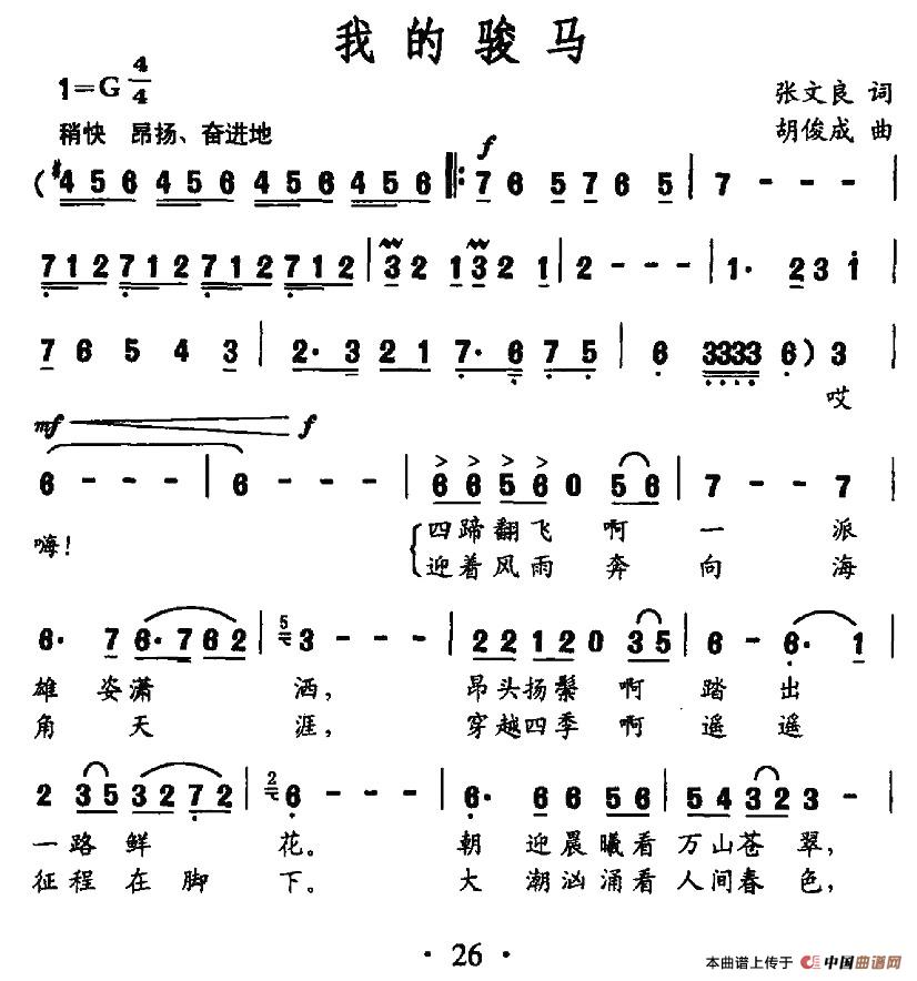 我的骏马(1)图片 (23).jpg