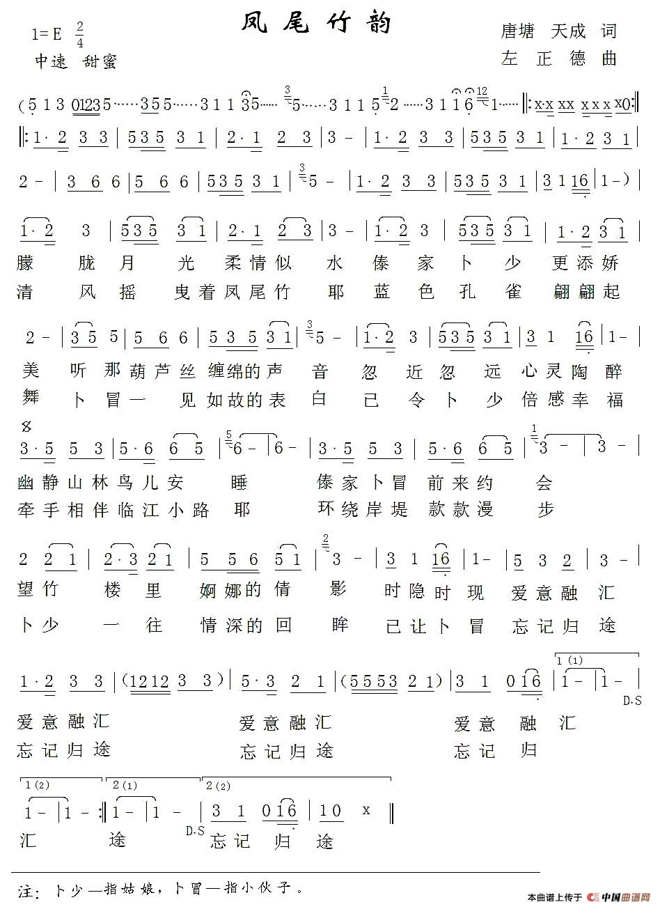 凤尾竹韵(1)1.jpg