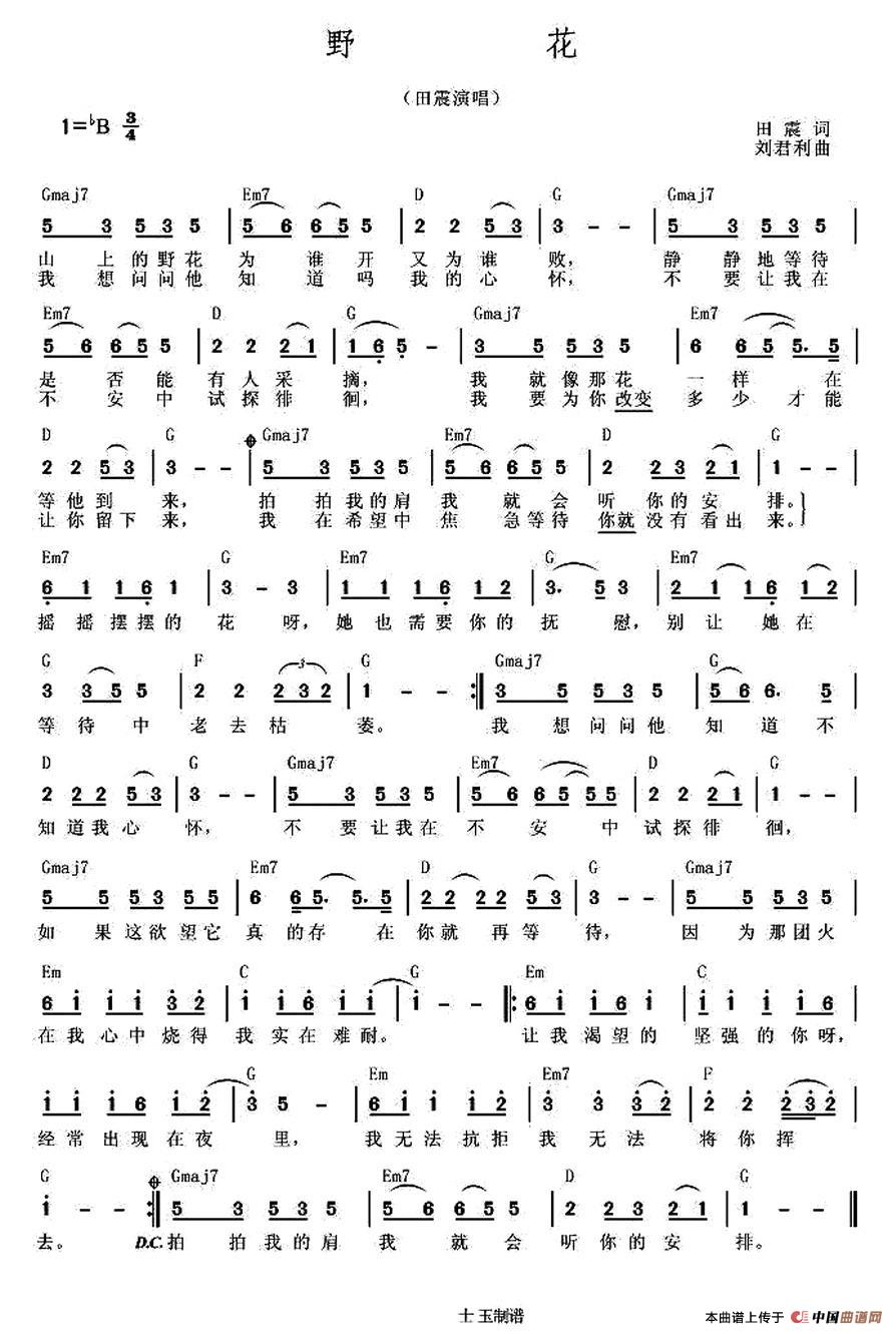 野花（田震词 刘利君曲）(1)野花.jpg
