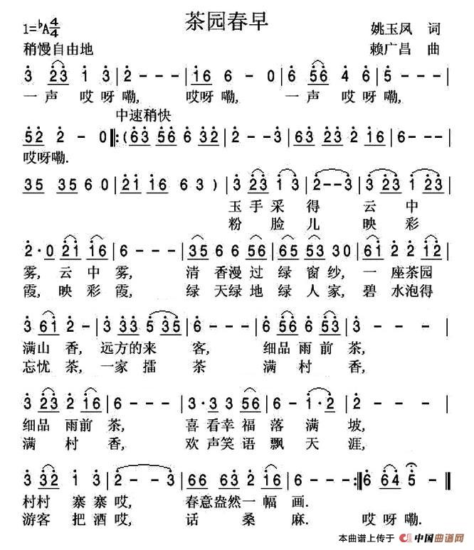 茶园春早(1)1.jpg