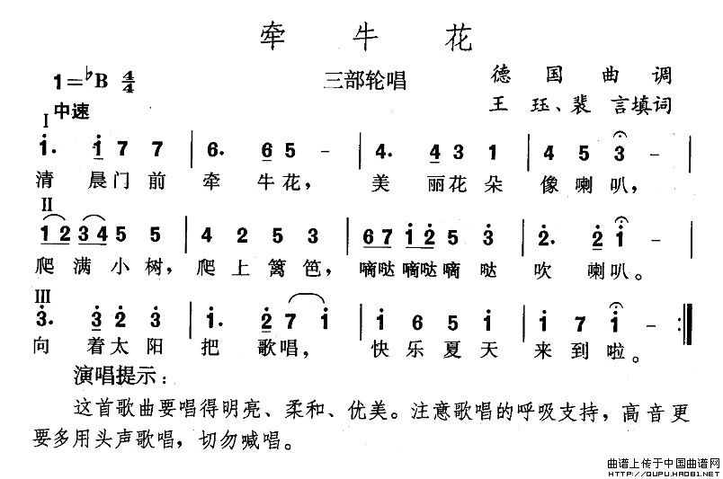 牵牛花（王珏填词版）(1)牵牛花1.jpg