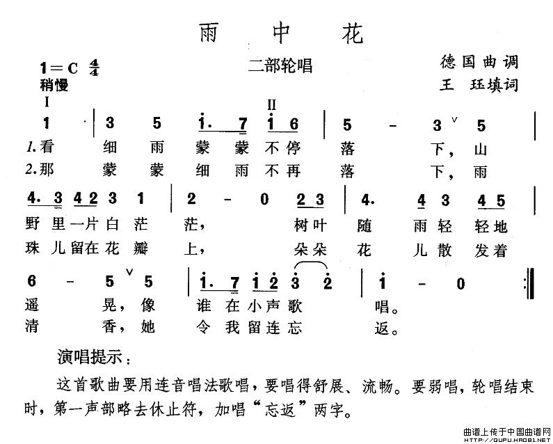 雨中花(1)雨中花1.jpg