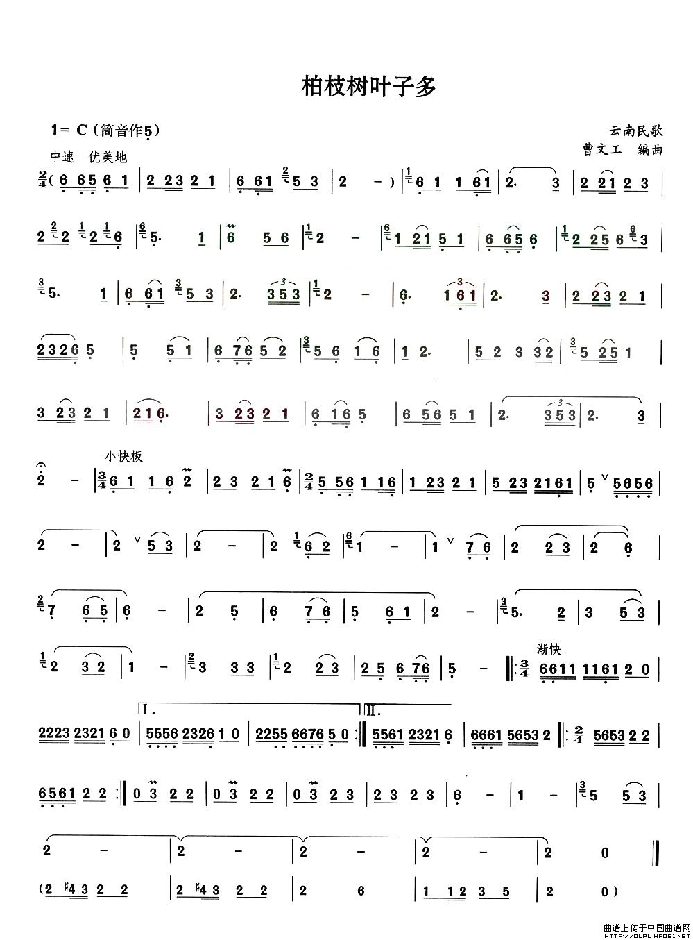 柏枝树叶子多：柏枝树叶子多1.jpg