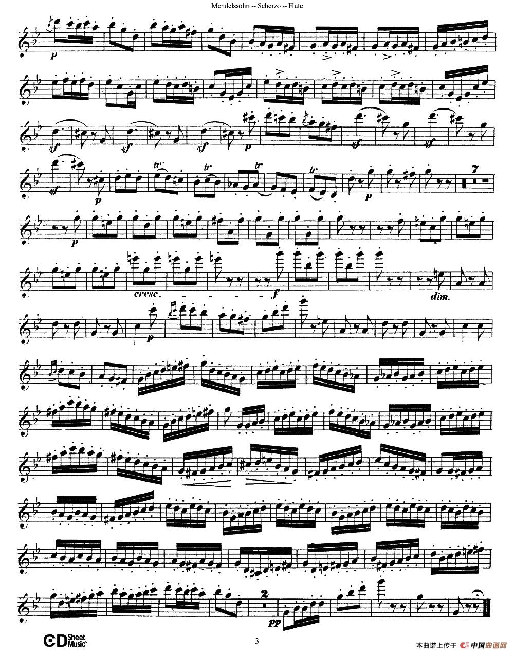 Scherzo(1)图片3.jpg
