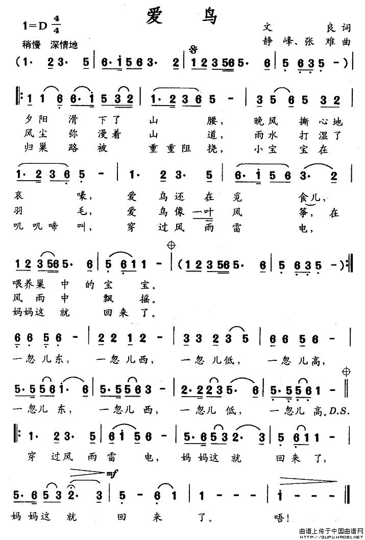 爱鸟(1)爱鸟1.jpg