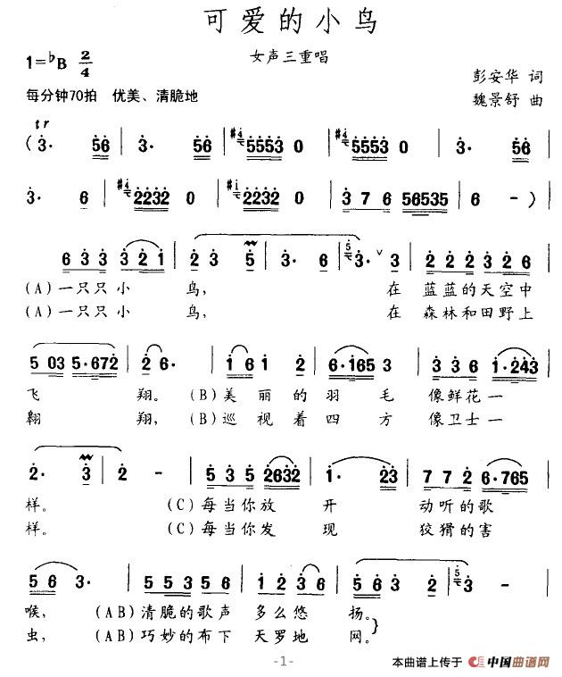 可爱的小鸟(1)可爱的小鸟1.jpg
