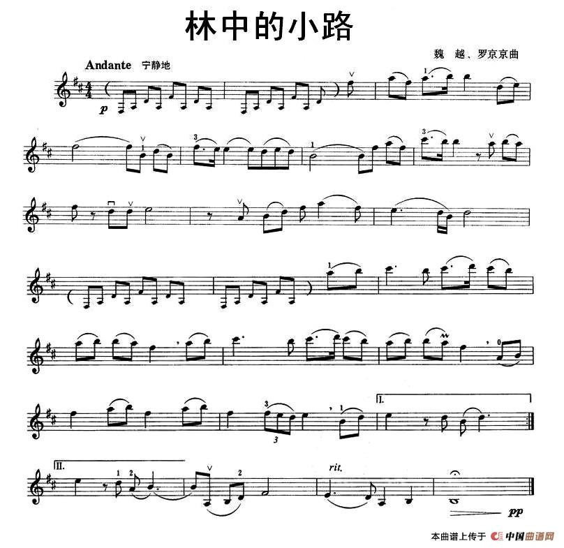 林中的小路(1)1.jpg