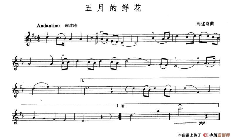 五月的鲜花(1)1.jpg