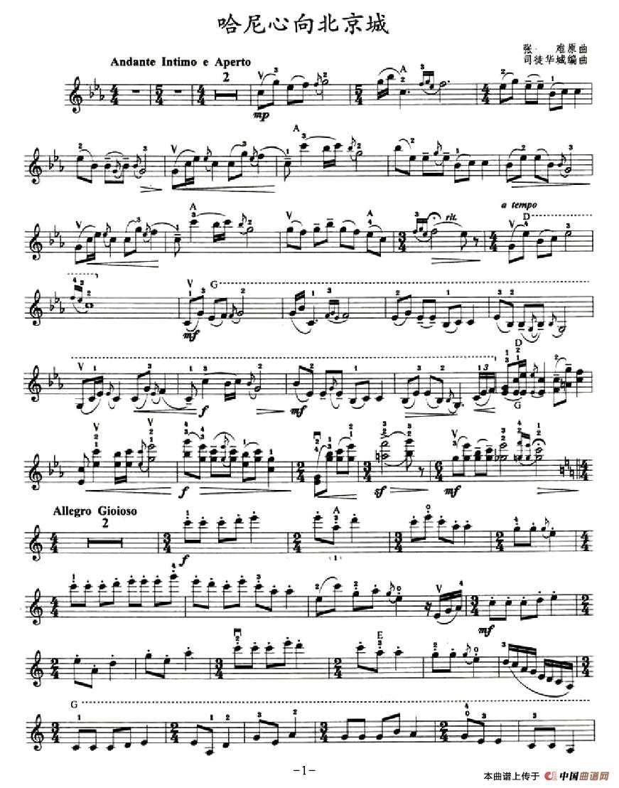 哈尼心向北京城(1)75Violin-001.jpg