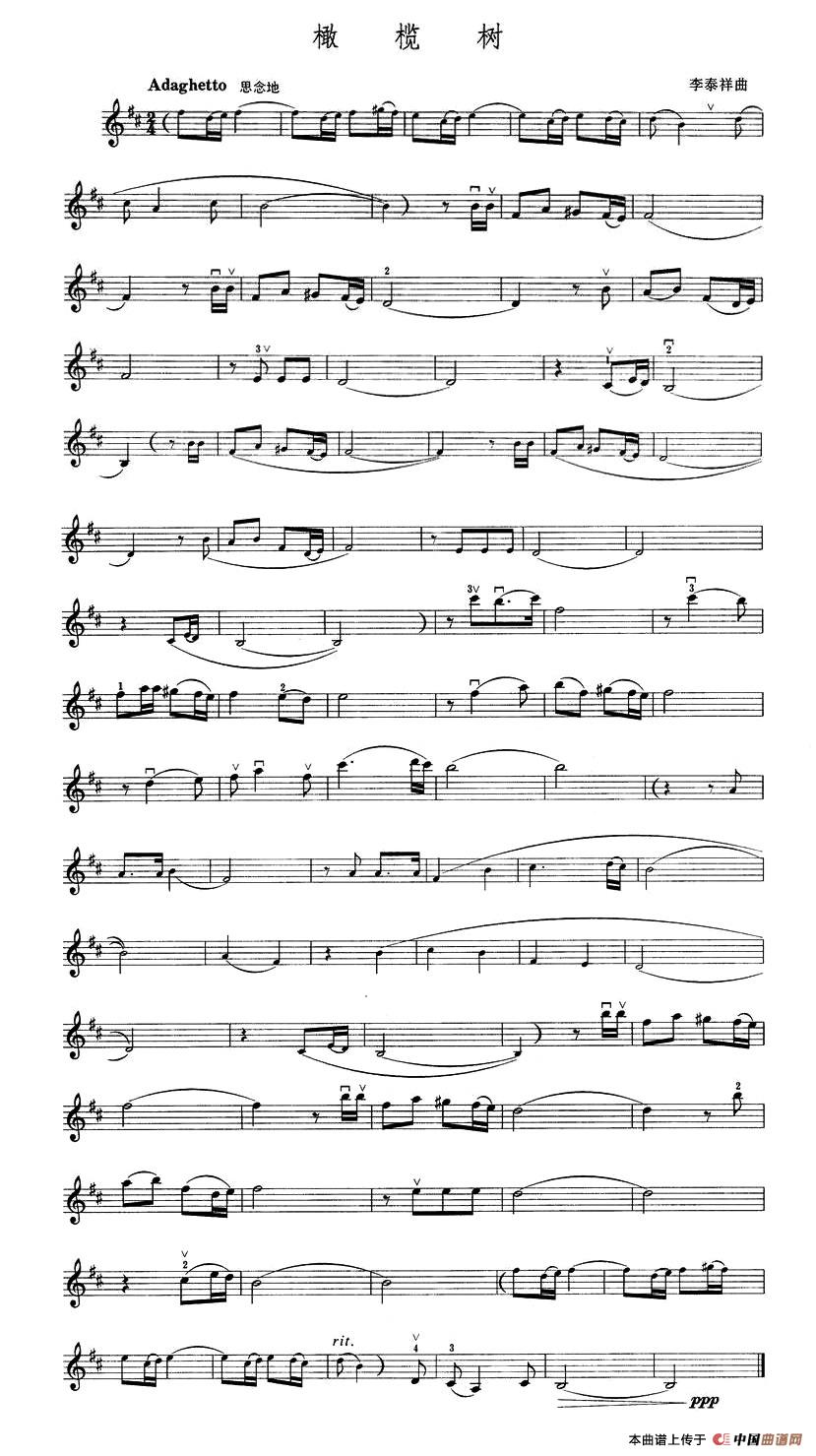 橄榄树(1)1.jpg