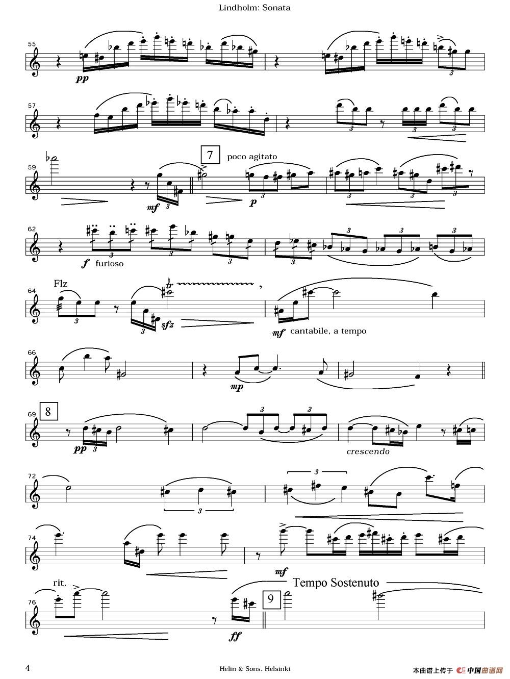 Sonata(1)图片3.jpg